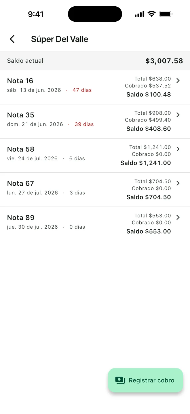 Saldo de un cliente en la app, con sus notas abiertas y los días que lleva cada una.
